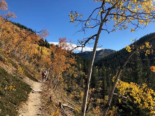 The trail along Prairie Creek (photo by Madeleine)