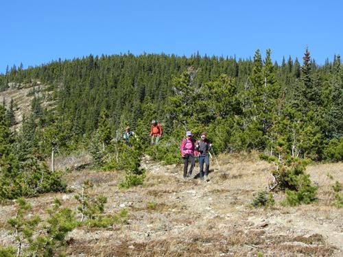 Coming down the horse trail off Surveyor's Ridge