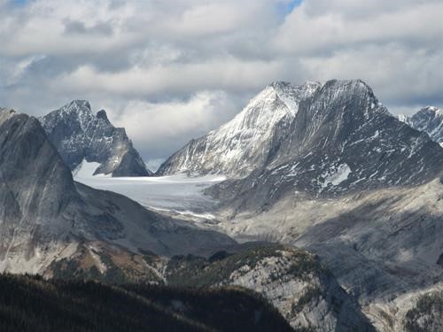 Close up shot of the Haig glacier