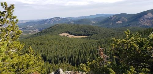 View of the dry pond and slope from which we spotted the knob