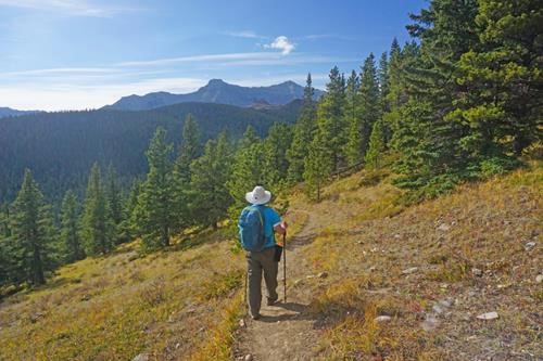 Walking toward Blue Rock Knob and Mount Burns (photo by Gary)