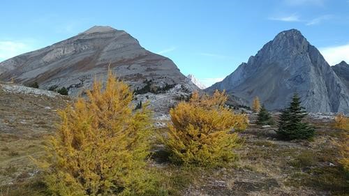 Snow Peak from Burstall Pass