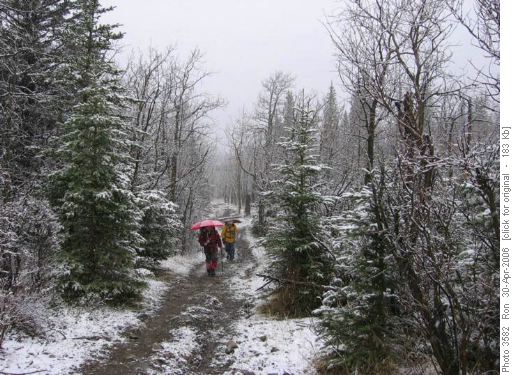 Trail to Grass Pass
