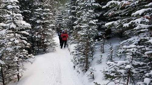 Cox Hill - surprise snow fall.