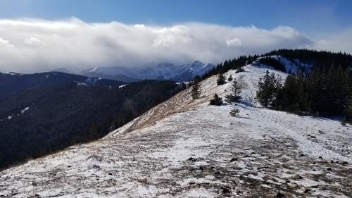 Cox Hill - summit ridge