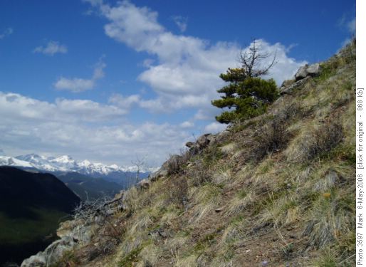 Highwood Range from Hells Ridge grade