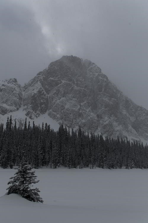 Mount Bell above Taylor Lake