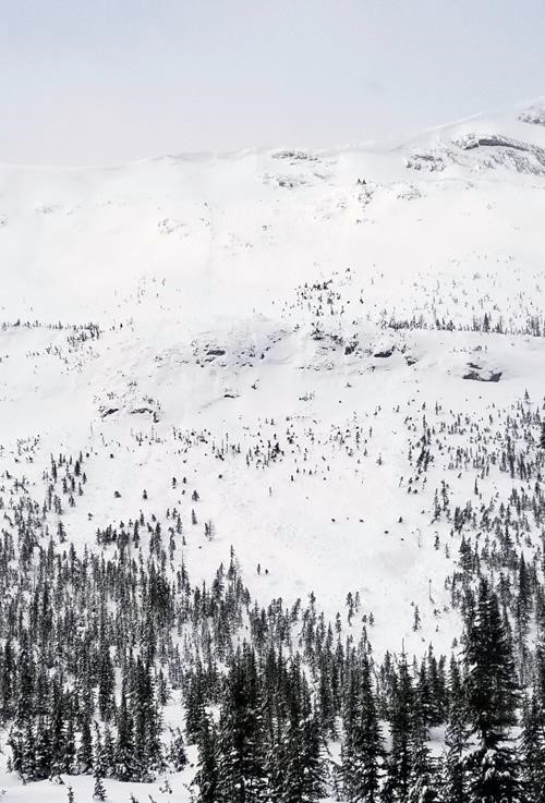 Avalanche caused by a cornice drop of the Snow Peak.