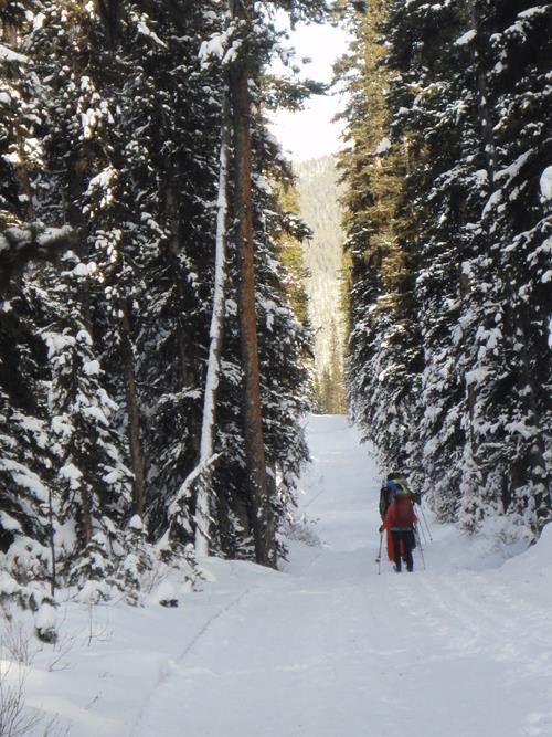Uphill skiing towards Skogan Pass near Nakiska