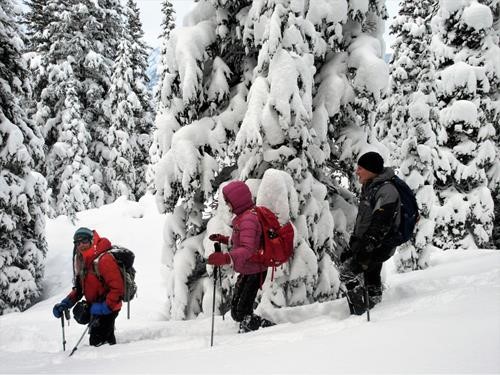 Heading down through the deep snow