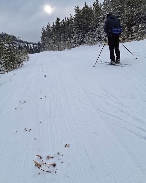 More or less the worst conditions we found, that in several places