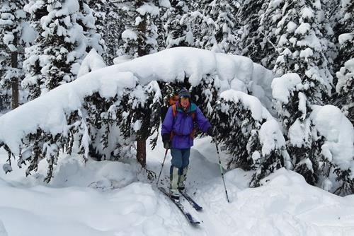 David ducking under another tree&snow arch