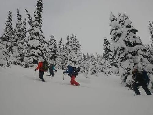 Uptrack above Healy Pass trail-Gary
