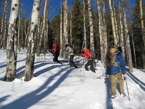 The ladies break trail on Bobcat