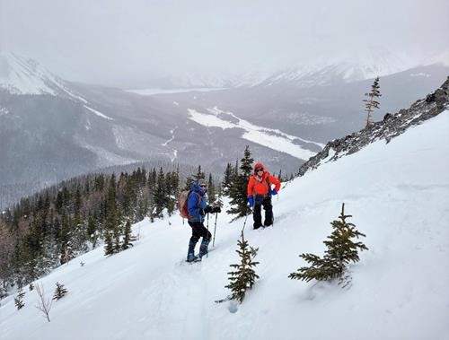 Leaving tree line just below the shoulder of Commonwealth Ridge