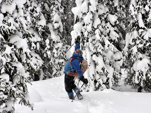 Trip leader overcome by 'snow psychosis' - he later recovered