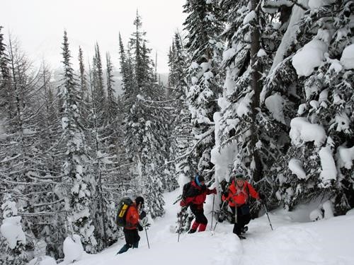 Arnold , Dean and Christine heading up through the larch zone