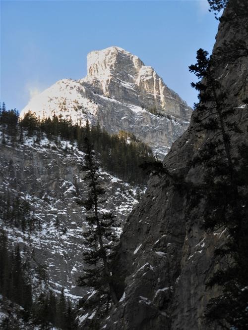 Views from the canyon