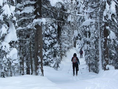 Winter wonderland on Upper Telemark