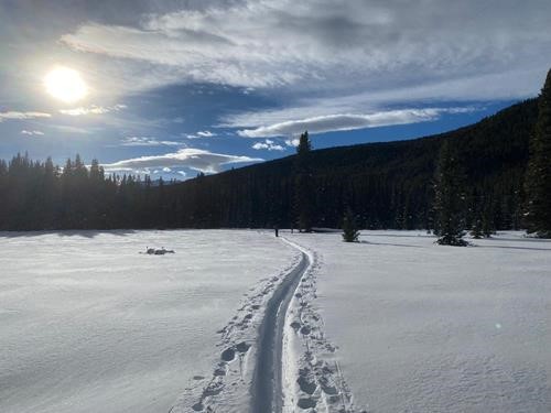 The Expansive Baker Creek Meadows