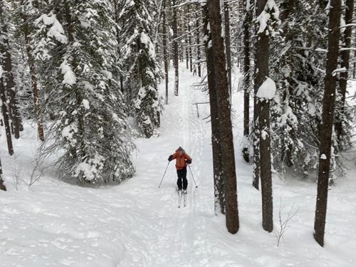Descending one of the Gulley Hills