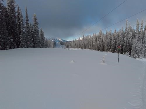 View from Elk Pass of frosted trees along Hydroline trail