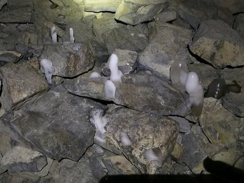 Ice mushrooms