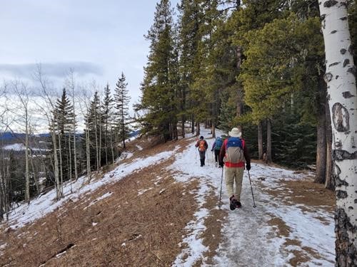 Upper Fullerton Loop trail