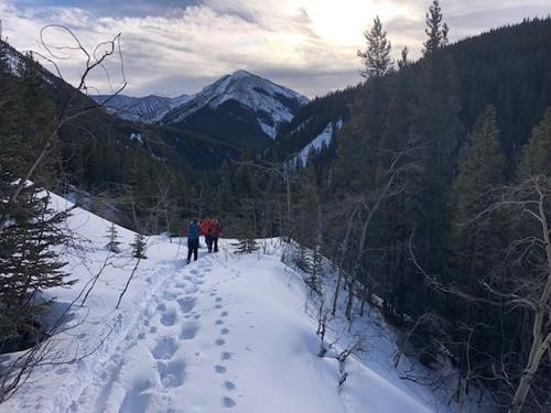 Start of the Downhill to the Creek