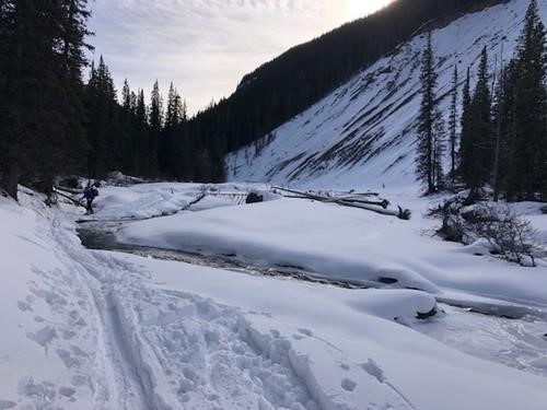 Returning to the Pinch Point on the Creek
