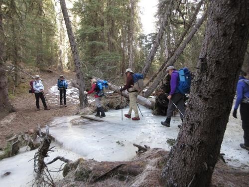 Crossing an ice flow