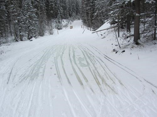 Ice flow along Iron Springs trail near Iron Creek junction