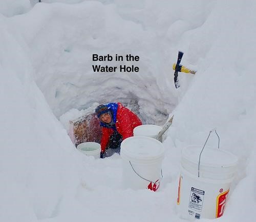 Barb working very hard getting our daily 160 kg of water