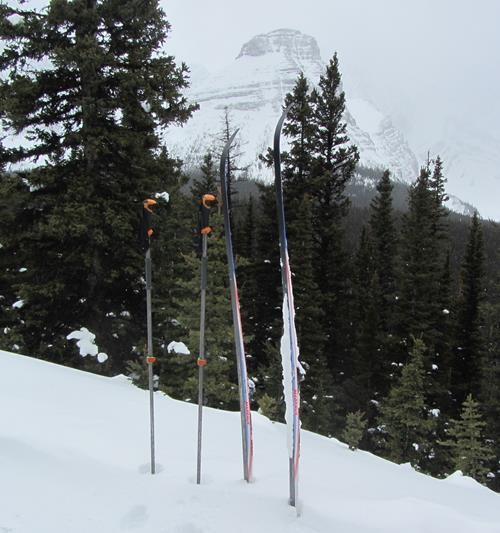 Snow buildup on ski bottom