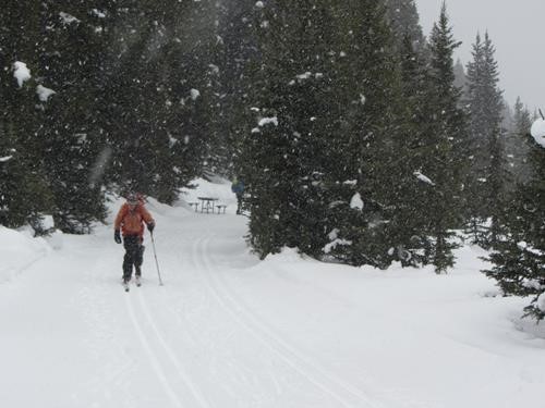 {957 Bob West} in the falling snow on Elk Pass trail leaving Blueberry Junction