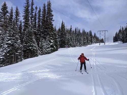 {184 k ke} descends under the power line enroute to Elk Lake hut, BC.