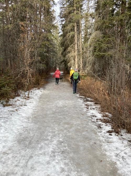 Icy Trail