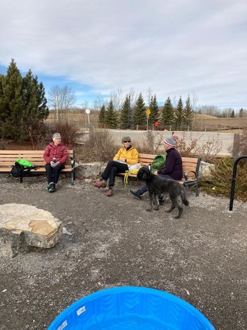 Lunch and Conversation