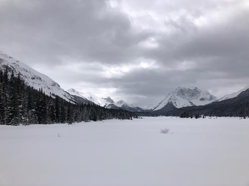 The Wide Meadows near Palliser Warden Cabin