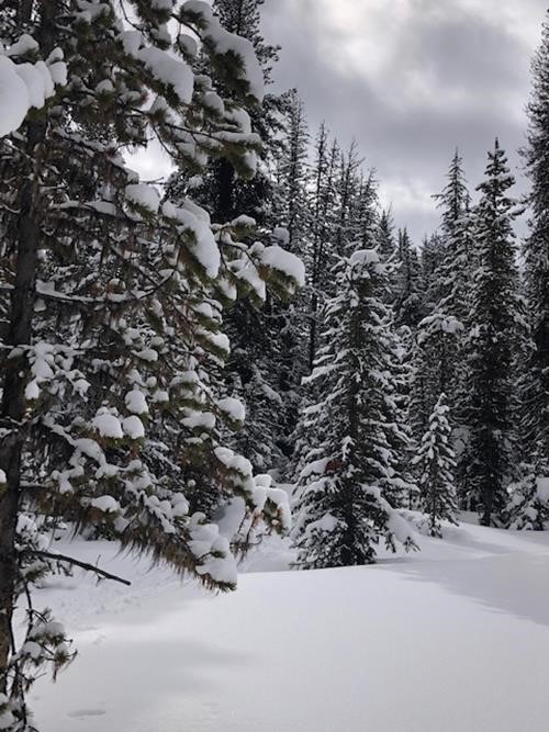 A Winter Wonderland along the Trail