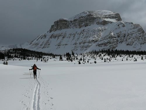 In the meadows on the way to Citadel Pass - Citadel Peak