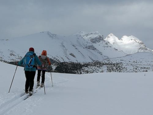 At the top of the outlier ridge extending from Quartz Ridge
