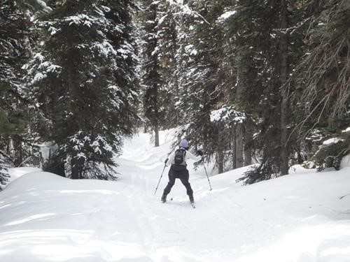 {2086 Toshiko Mizuno} descending hill which avoids avalanche runout near lake