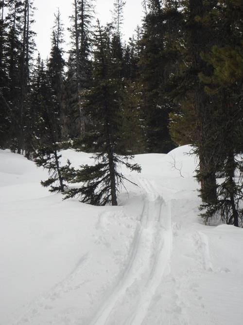 Typical terrain in the upper and lower drainage