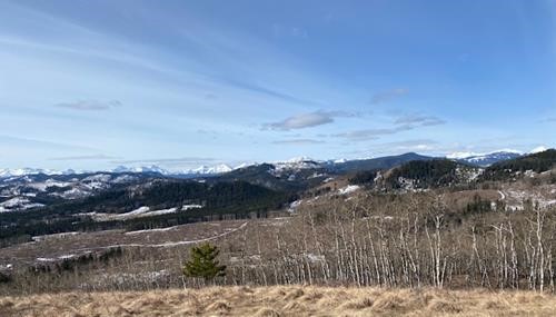 View on top of Jack.s Hill