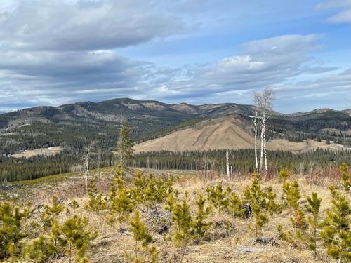 Views from summit of Hickory Hill