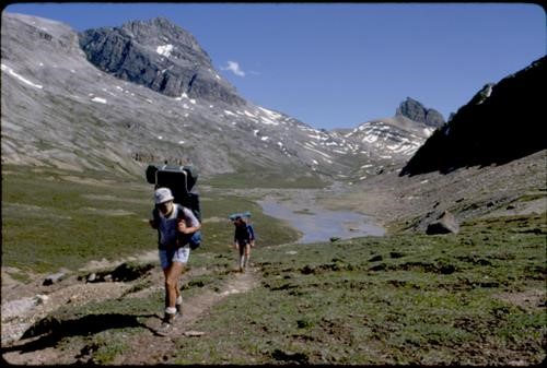 Dolomite Creek Valley