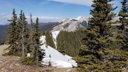 Ridgetop snow with Moose Mountain in the distance.