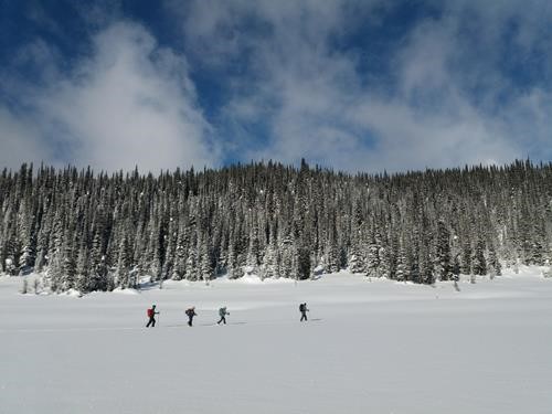 David Henry Lodge trip