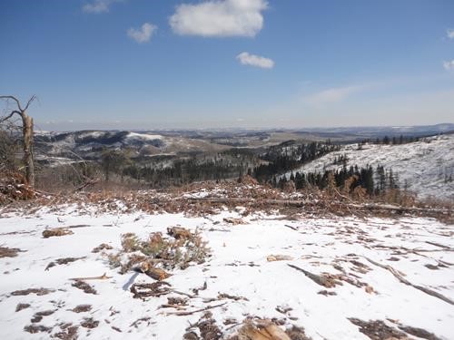 View from one of the summits of Aspen Ridge